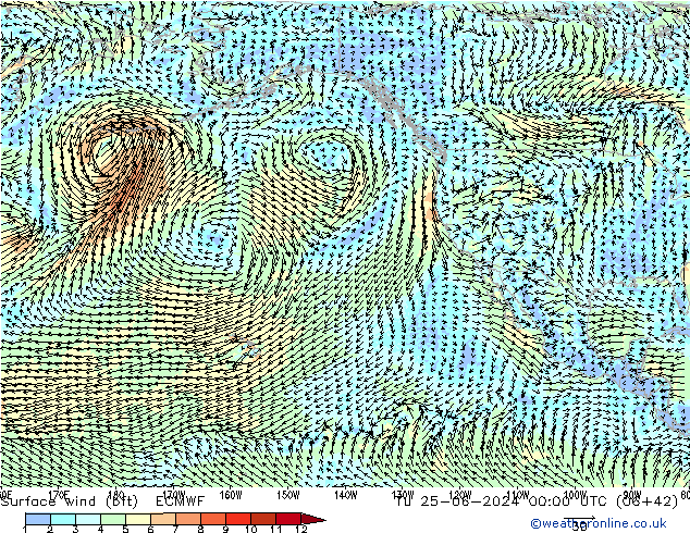 Surface wind (bft) ECMWF Tu 25.06.2024 00 UTC