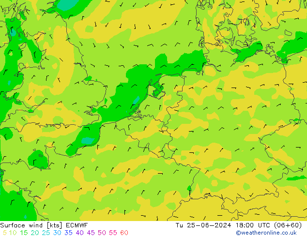 Vent 10 m ECMWF mar 25.06.2024 18 UTC