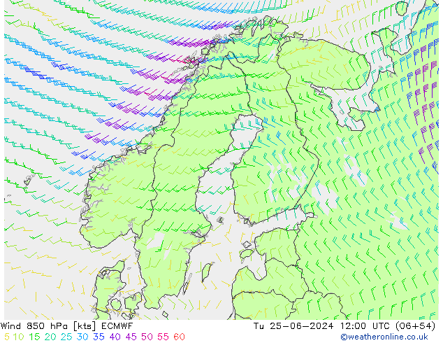 Wind 850 hPa ECMWF Út 25.06.2024 12 UTC