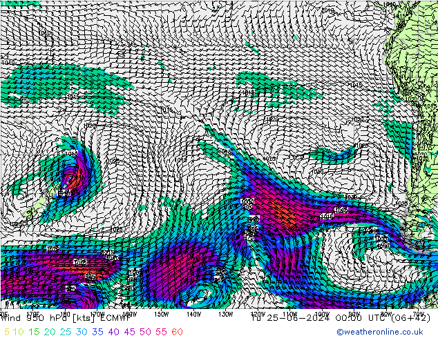 Wind 950 hPa ECMWF Tu 25.06.2024 00 UTC