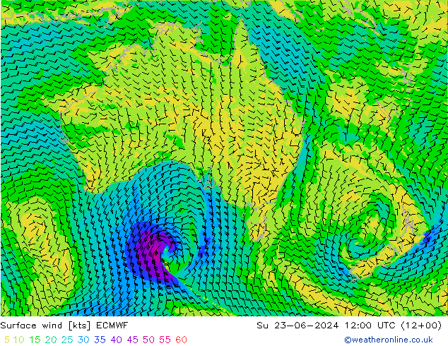  10 m ECMWF  23.06.2024 12 UTC