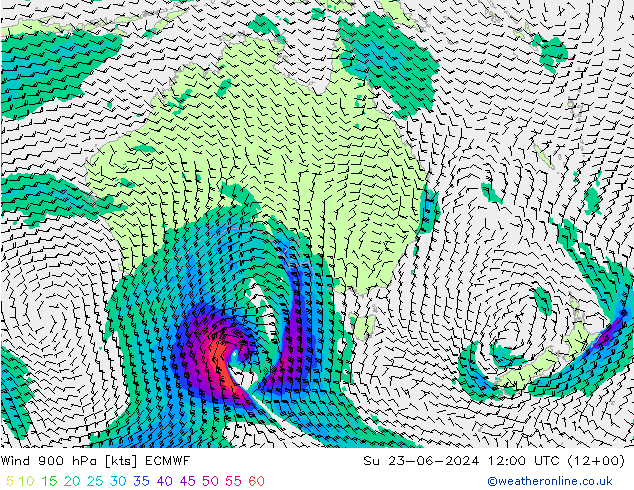 Rüzgar 900 hPa ECMWF Paz 23.06.2024 12 UTC
