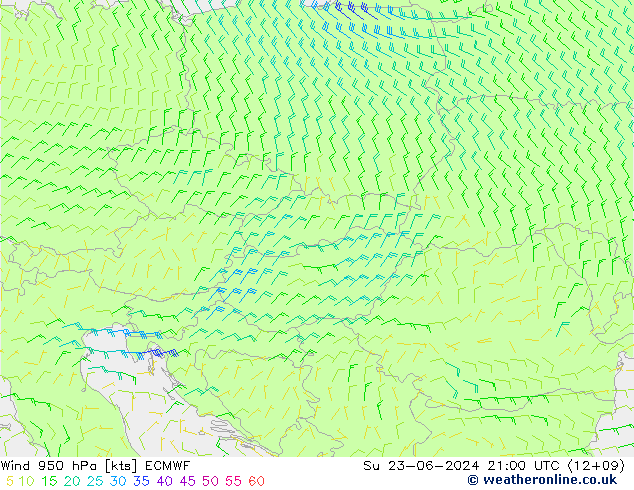  Su 23.06.2024 21 UTC