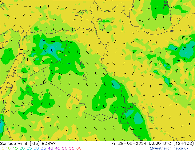  10 m ECMWF  28.06.2024 00 UTC