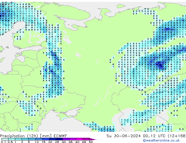 Precipitation (12h) ECMWF Su 30.06.2024 12 UTC