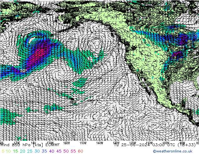 ветер 850 гПа ECMWF вт 25.06.2024 03 UTC