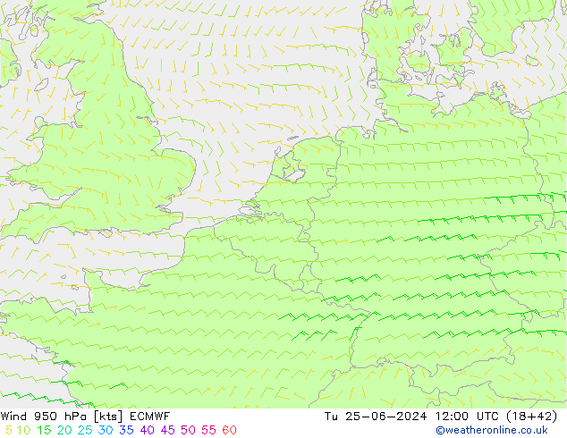 Wind 950 hPa ECMWF Tu 25.06.2024 12 UTC