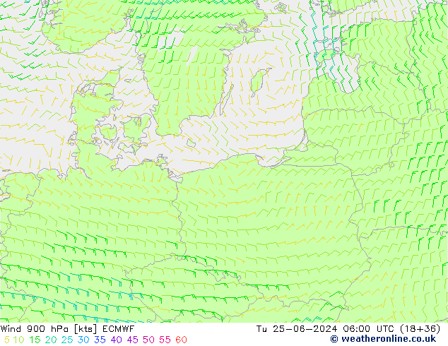 Wind 900 hPa ECMWF Tu 25.06.2024 06 UTC