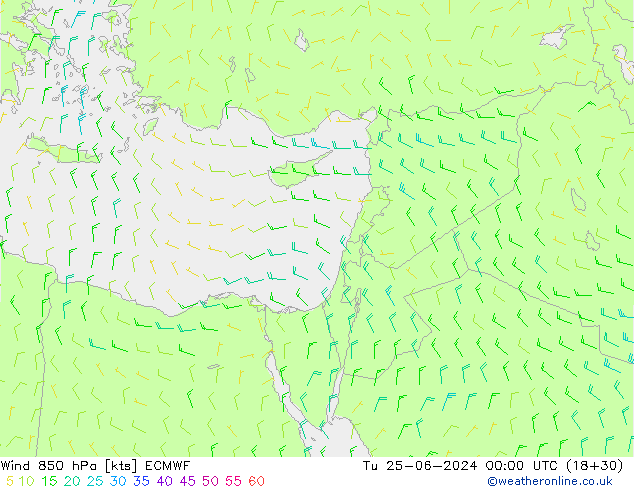 Wind 850 hPa ECMWF Út 25.06.2024 00 UTC