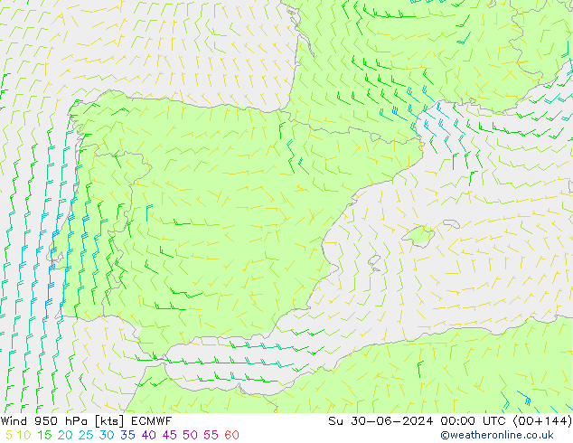 ветер 950 гПа ECMWF Вс 30.06.2024 00 UTC