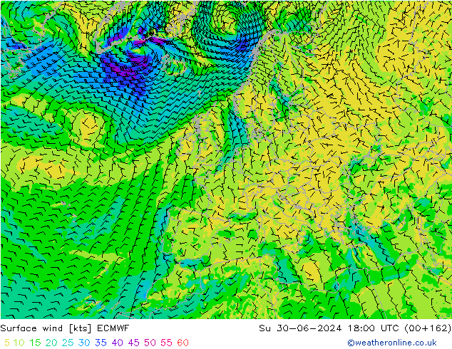 Surface wind ECMWF Ne 30.06.2024 18 UTC