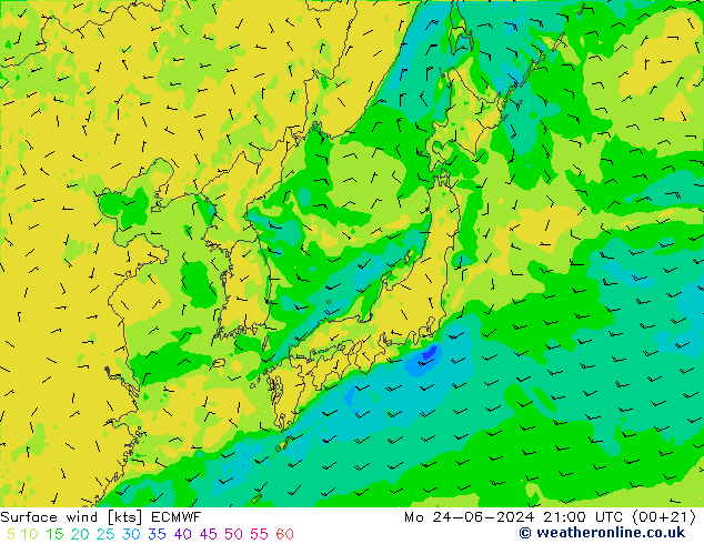 Surface wind ECMWF Mo 24.06.2024 21 UTC