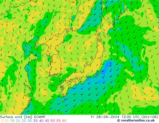 ветер 10 m ECMWF пт 28.06.2024 12 UTC