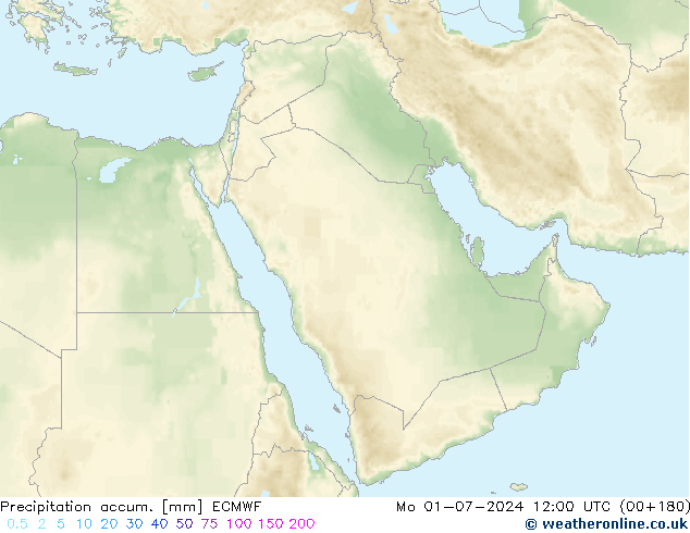 Toplam Yağış ECMWF Pzt 01.07.2024 12 UTC