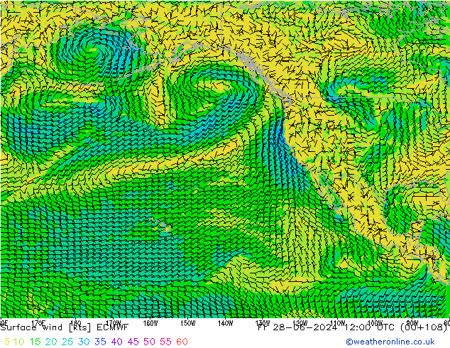 ветер 10 m ECMWF пт 28.06.2024 12 UTC