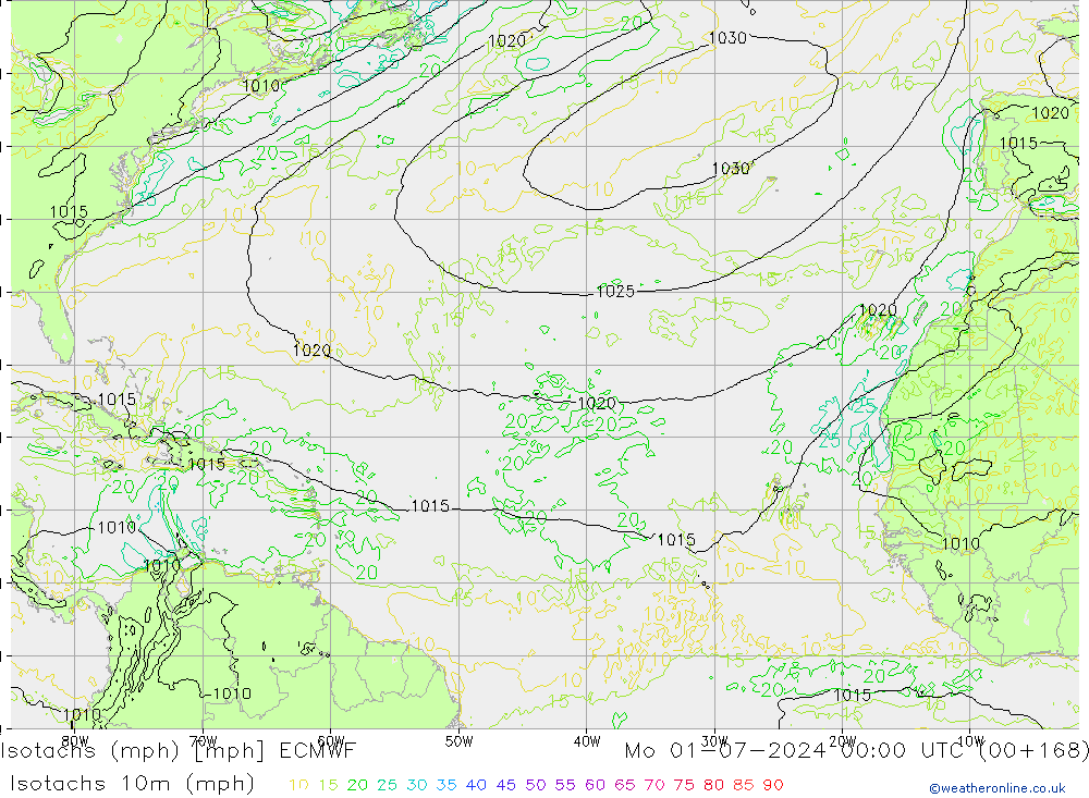 Izotacha (mph) ECMWF pon. 01.07.2024 00 UTC