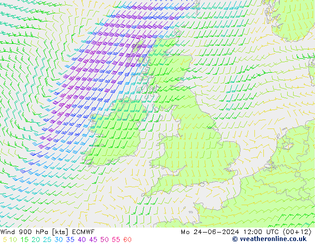 Wind 900 hPa ECMWF Mo 24.06.2024 12 UTC