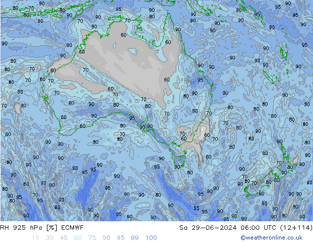 RH 925 hPa ECMWF So 29.06.2024 06 UTC