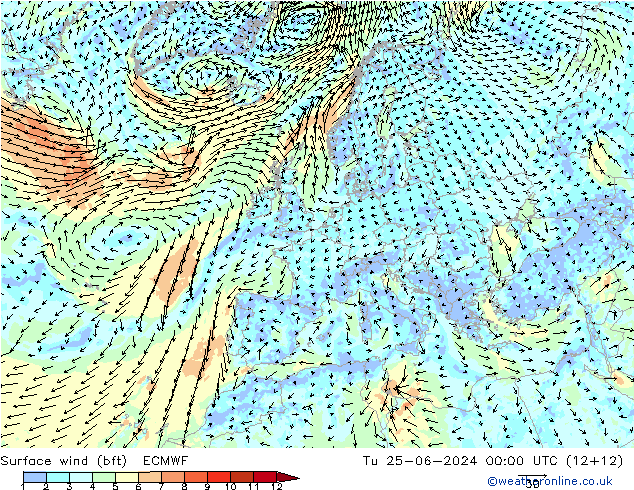 Bodenwind (bft) ECMWF Di 25.06.2024 00 UTC