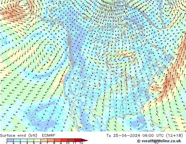 Wind 10 m (bft) ECMWF di 25.06.2024 06 UTC