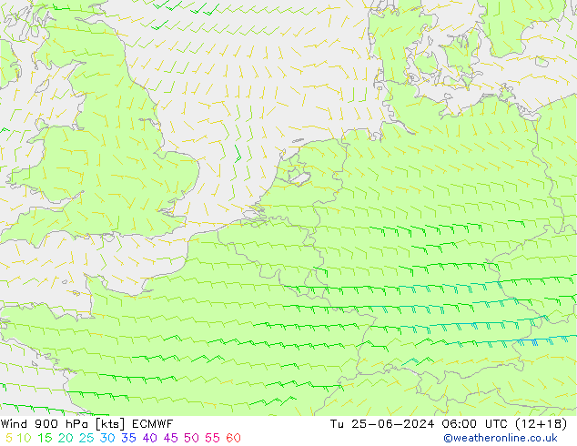 Wind 900 hPa ECMWF Tu 25.06.2024 06 UTC