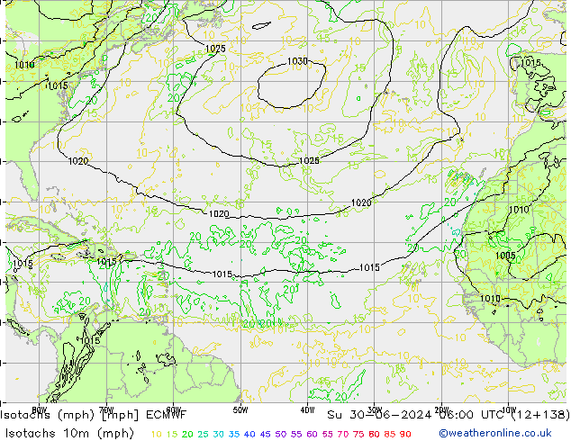 Isotaca (mph) ECMWF dom 30.06.2024 06 UTC