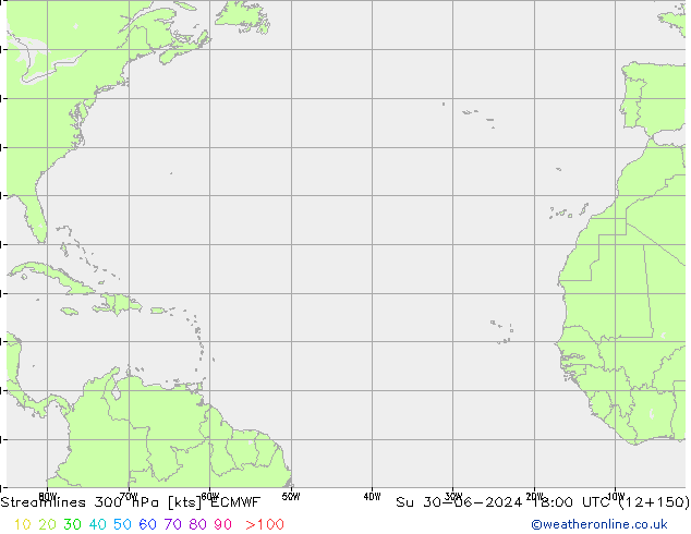 Stroomlijn 300 hPa ECMWF zo 30.06.2024 18 UTC