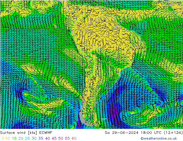 Vento 10 m ECMWF sab 29.06.2024 18 UTC