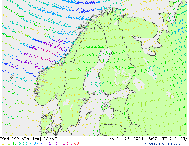 Viento 900 hPa ECMWF lun 24.06.2024 15 UTC