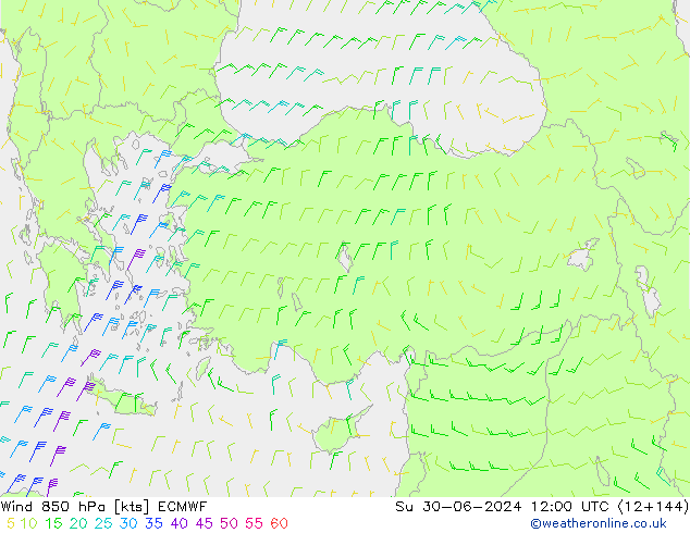 ветер 850 гПа ECMWF Вс 30.06.2024 12 UTC