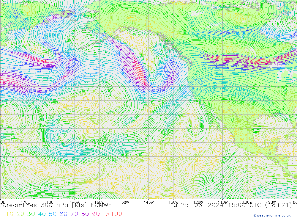 Linea di flusso 300 hPa ECMWF mar 25.06.2024 15 UTC