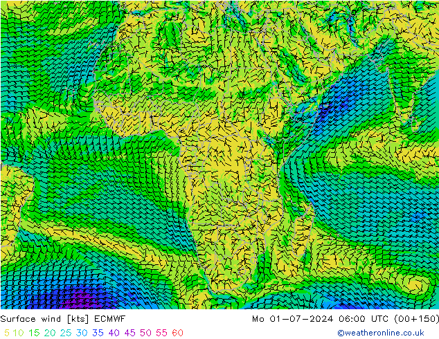 Bodenwind ECMWF Mo 01.07.2024 06 UTC