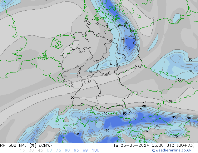 RH 300 hPa ECMWF Tu 25.06.2024 03 UTC