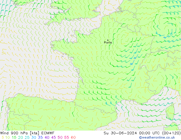 Wind 900 hPa ECMWF Su 30.06.2024 00 UTC