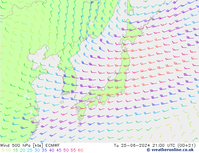 Wind 500 hPa ECMWF Út 25.06.2024 21 UTC