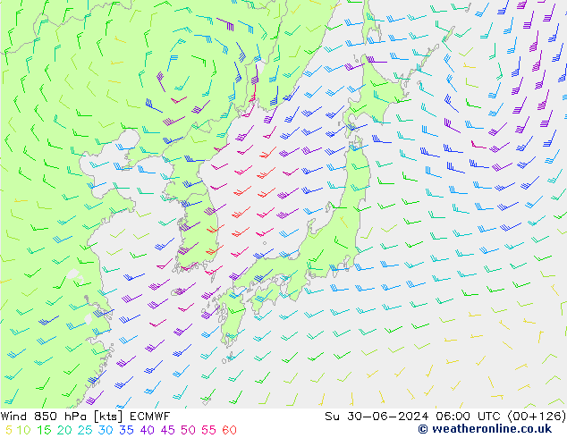 Rüzgar 850 hPa ECMWF Paz 30.06.2024 06 UTC