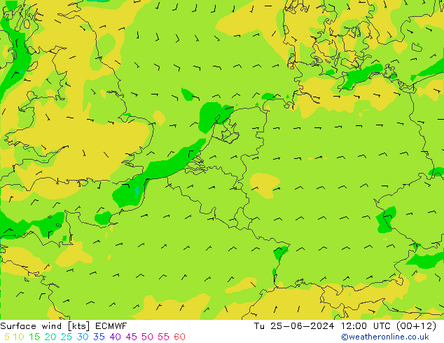 Surface wind ECMWF Tu 25.06.2024 12 UTC