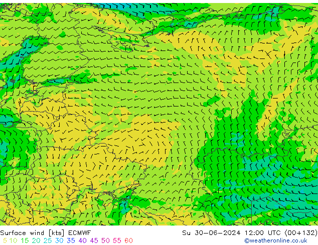 Viento 10 m ECMWF dom 30.06.2024 12 UTC