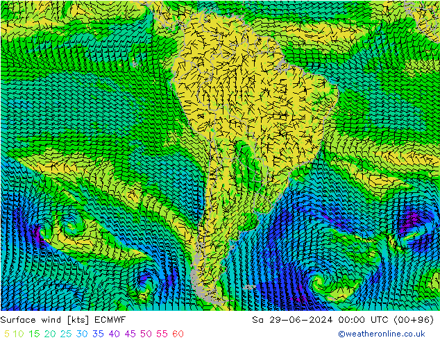 ветер 10 m ECMWF сб 29.06.2024 00 UTC