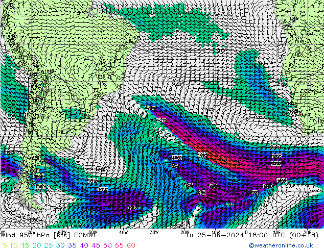 Rüzgar 950 hPa ECMWF Sa 25.06.2024 18 UTC