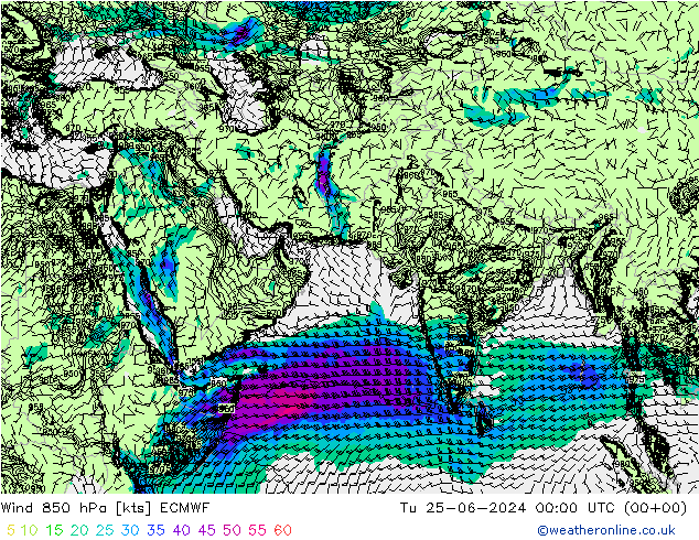 风 850 hPa ECMWF 星期二 25.06.2024 00 UTC