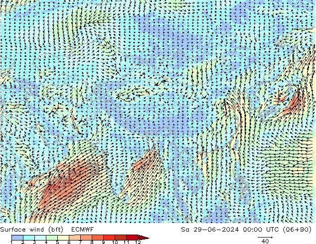 Surface wind (bft) ECMWF Sa 29.06.2024 00 UTC