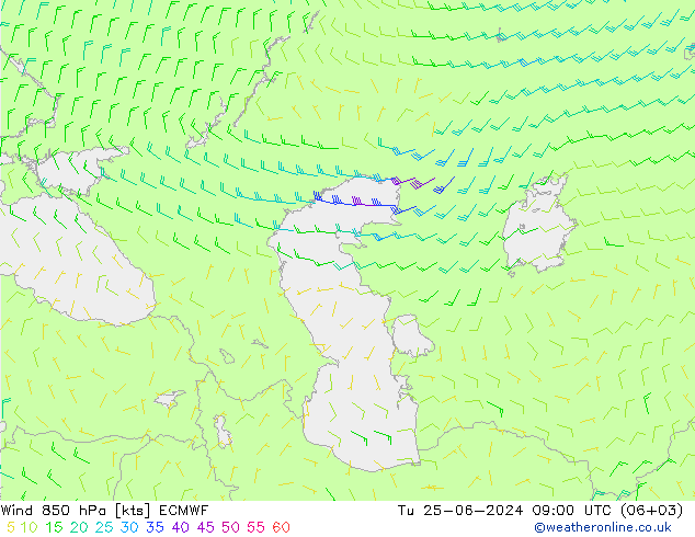  850 hPa ECMWF  25.06.2024 09 UTC