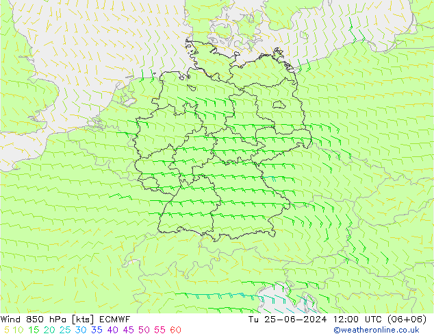 Wind 850 hPa ECMWF Tu 25.06.2024 12 UTC