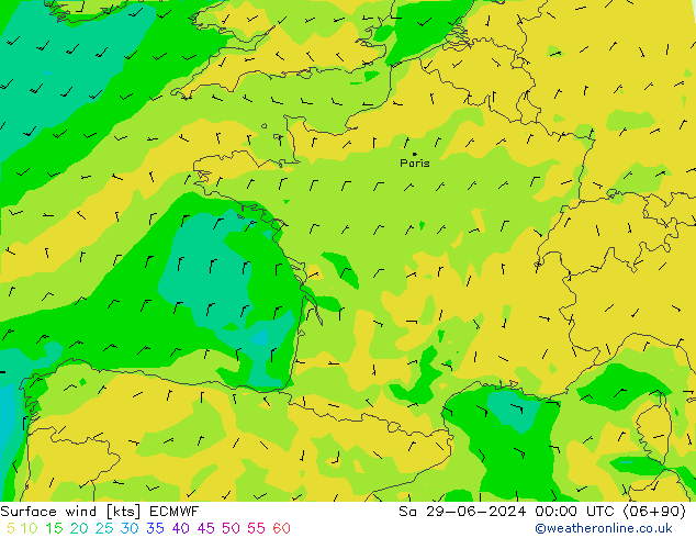 Surface wind ECMWF Sa 29.06.2024 00 UTC