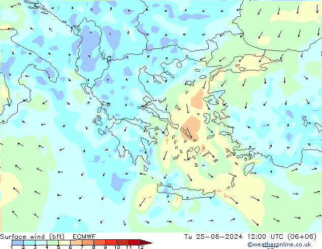 Surface wind (bft) ECMWF Tu 25.06.2024 12 UTC