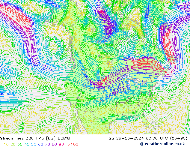 Linea di flusso 300 hPa ECMWF sab 29.06.2024 00 UTC
