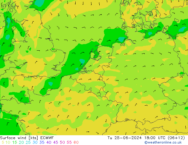 Surface wind ECMWF Út 25.06.2024 18 UTC