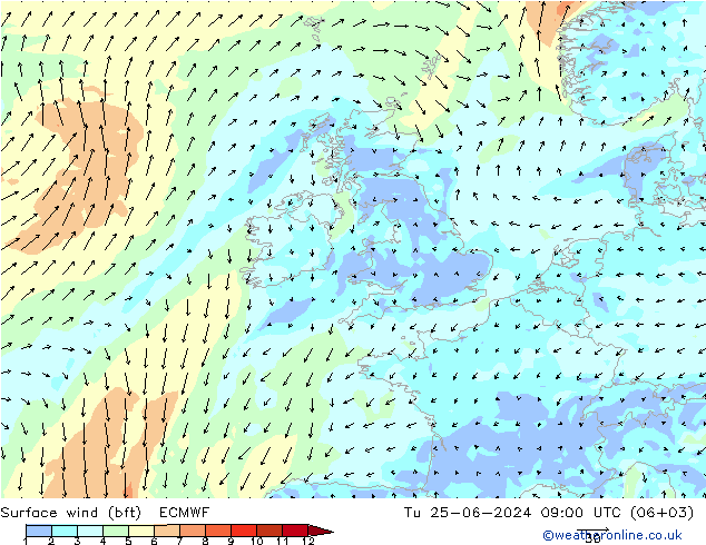 Surface wind (bft) ECMWF Tu 25.06.2024 09 UTC