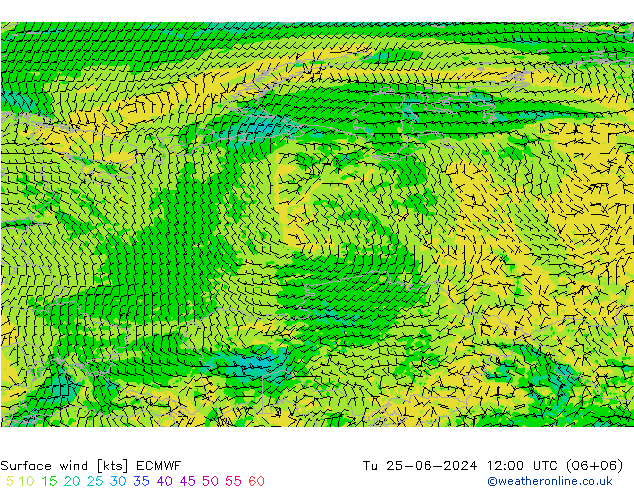 Neerslag 6h/Wind 10m/950 ECMWF di 25.06.2024 12 UTC